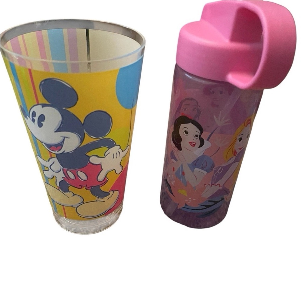 Disney Princess water bottle and a Silver Buffalo Mickey & Minnie pint glass.